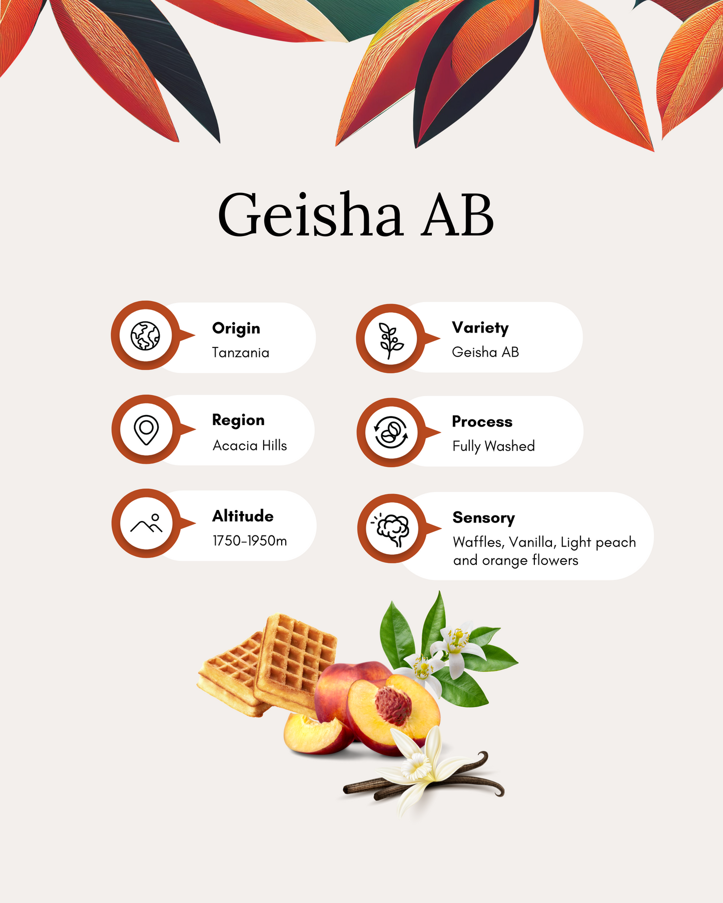 Geisha AB – Leon Christianakys 200g