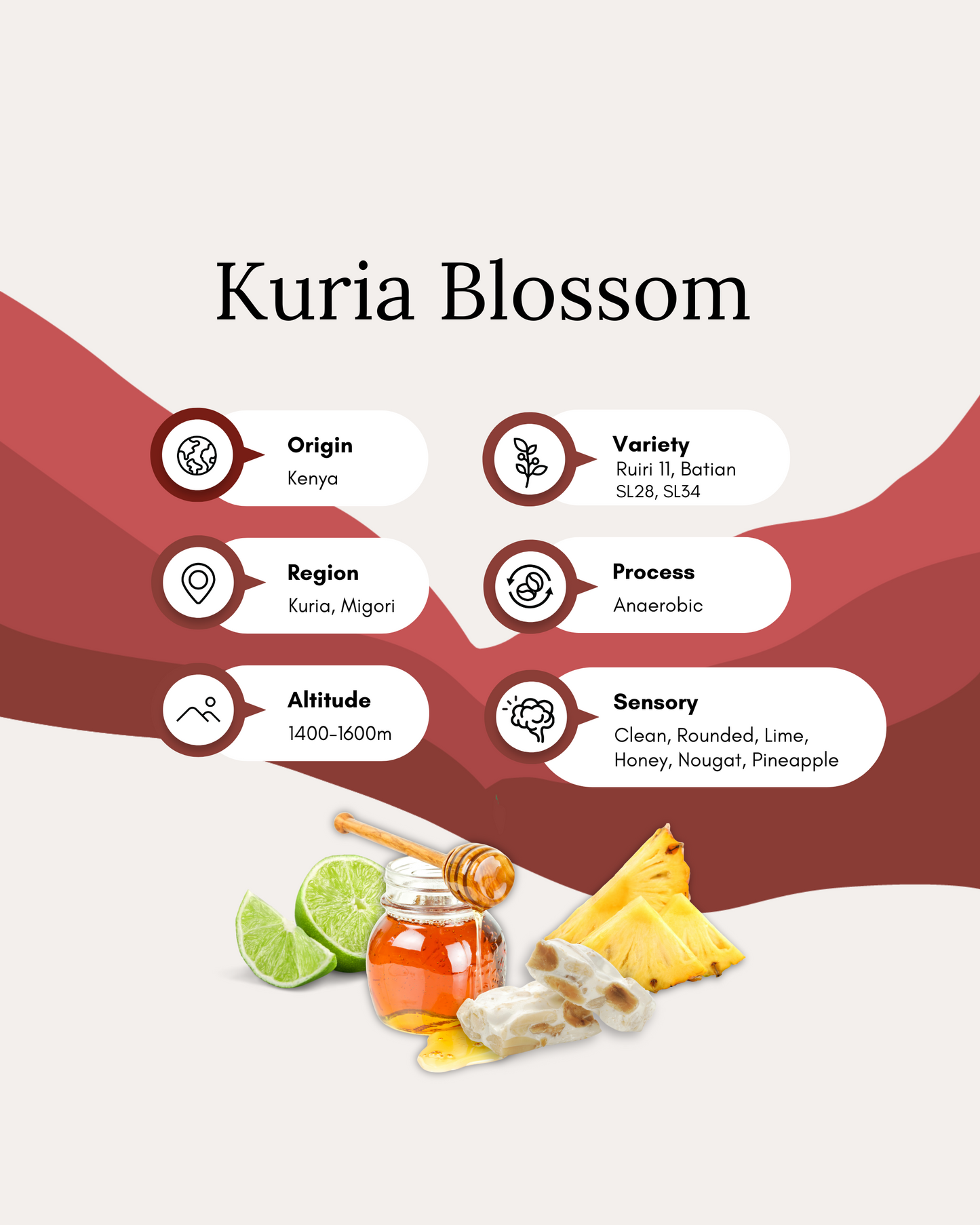 Kuria Blossom - Kenya Migori