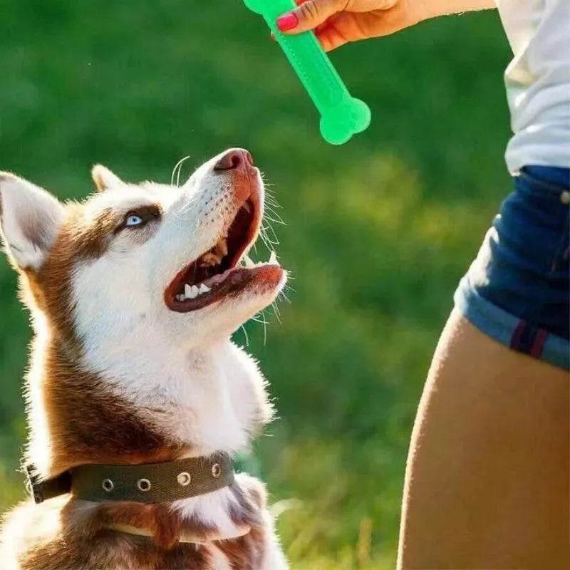 Durable Rubber Bone Toy for Aggressive Chewers
