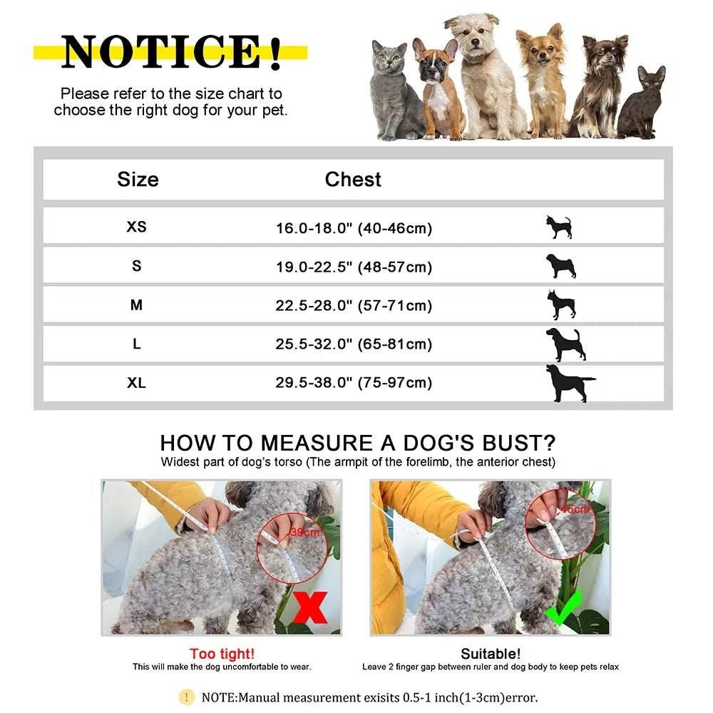 Personalized Dog Harness No Pull Dog Adjustable Pet Walking