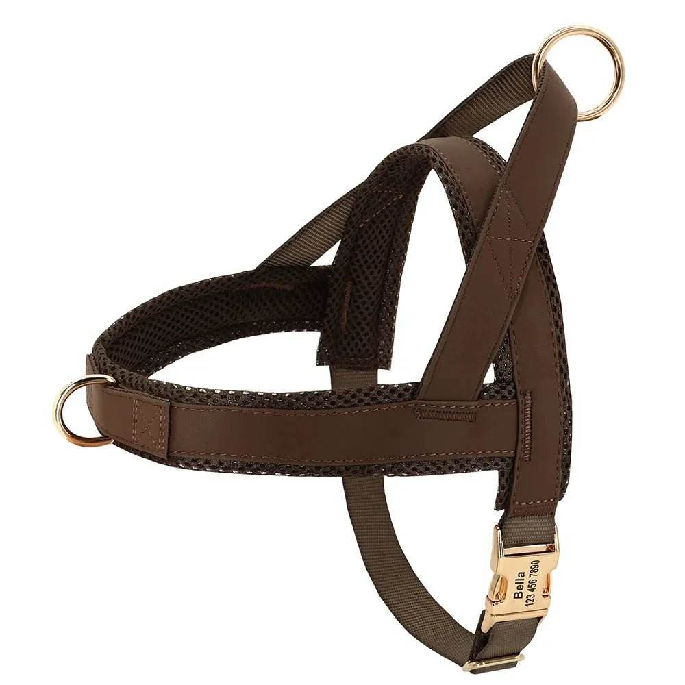 Personalized Dog Harness No Pull Dog Adjustable Pet Walking