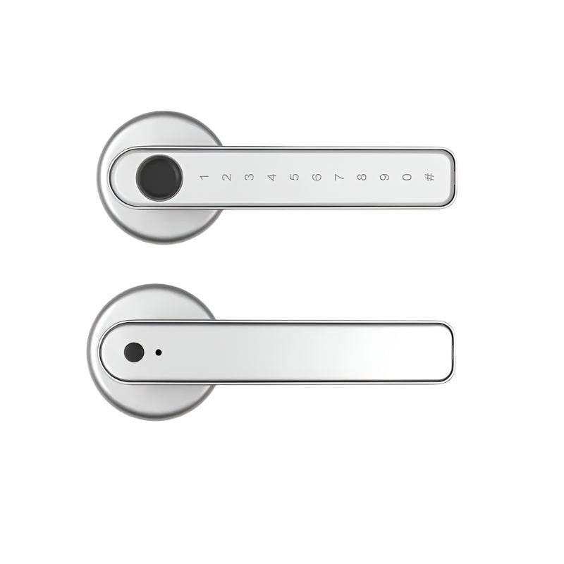 Single-lever smart fingerprint door lock with TTLOCK
