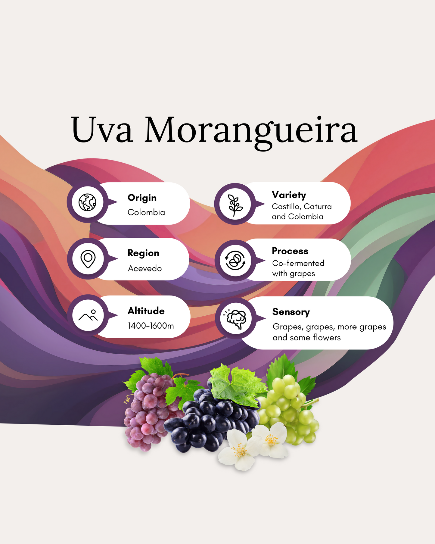 UVA Morangueira – Grapes – Coffee 200g