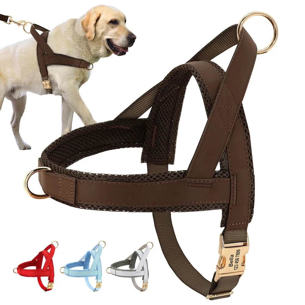 Personalized Dog Harness No Pull Dog Adjustable Pet Walking