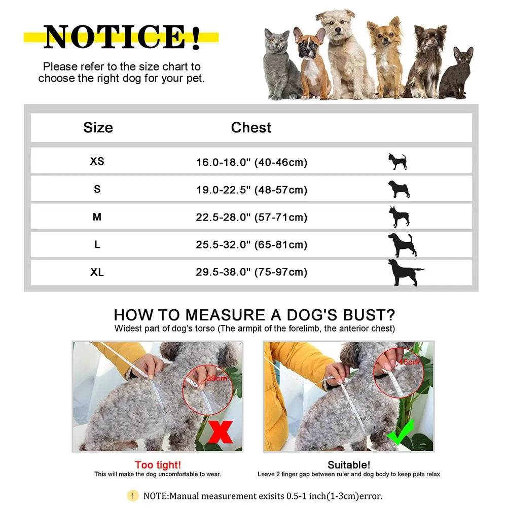 Personalized Dog Harness No Pull Dog Adjustable Pet Walking