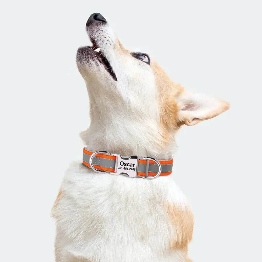 Reflective Personalized Dog Collar | Engraved ID
