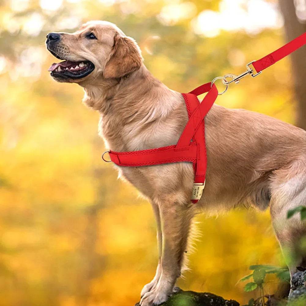 Personalized Dog Harness No Pull Dog Adjustable Pet Walking
