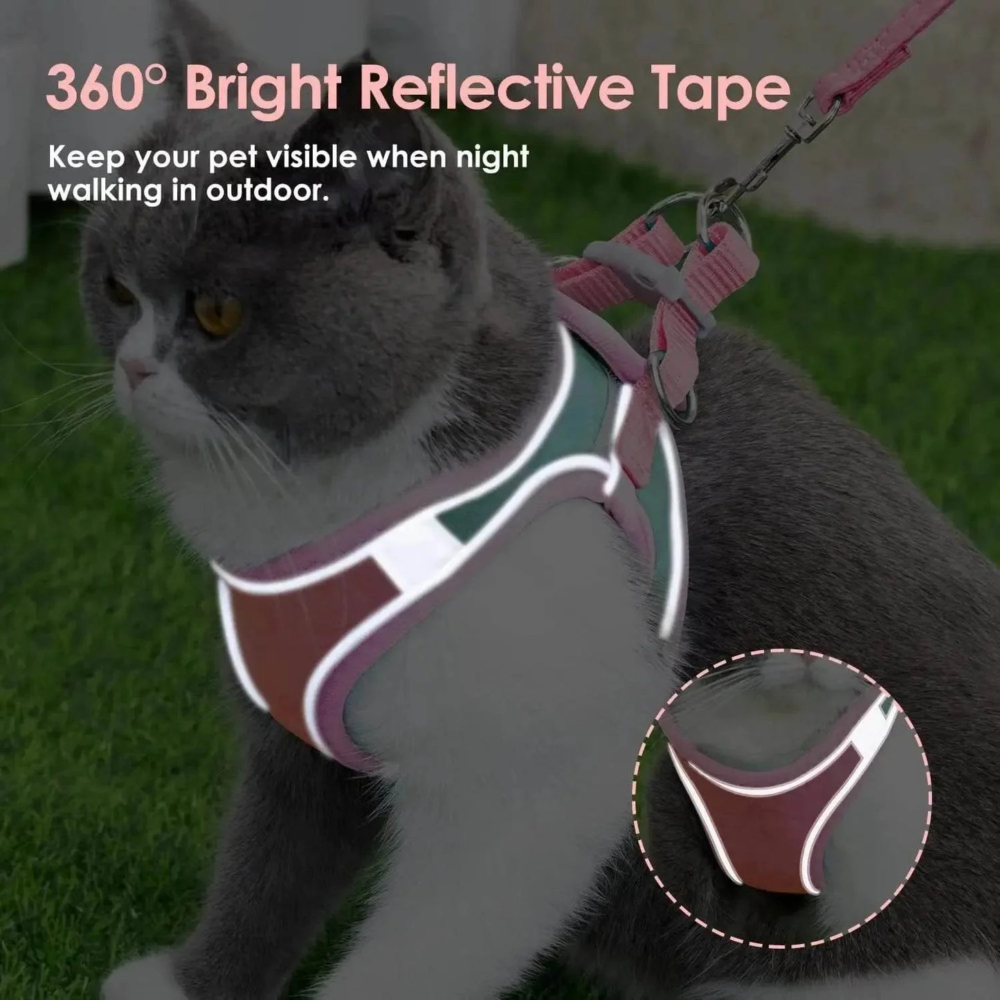 Reflective Harness Set for Cats - Night Safety Gear