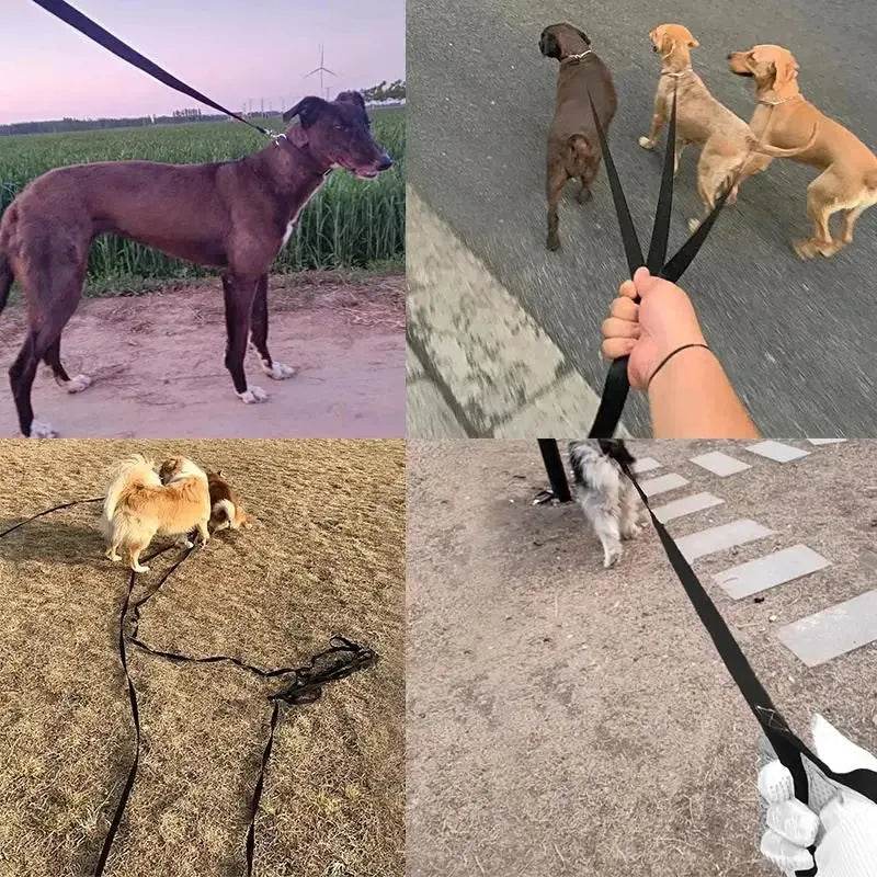 Long Nylon Pet Dog Leash For Small Big Dogs Cats Outdoor