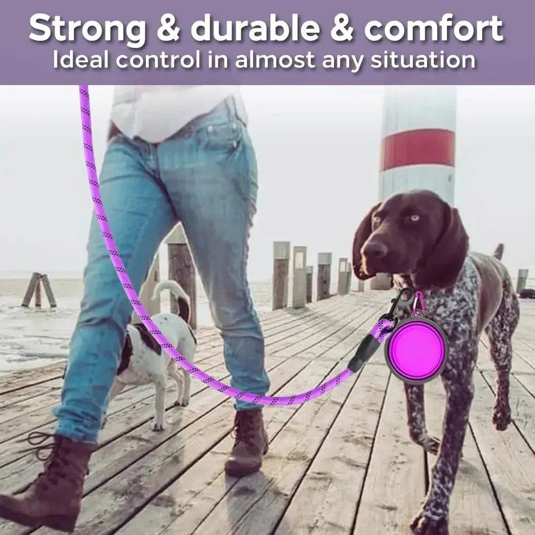 Strong Dog Leash Pet Leashes Reflectiv For Big Small Medium