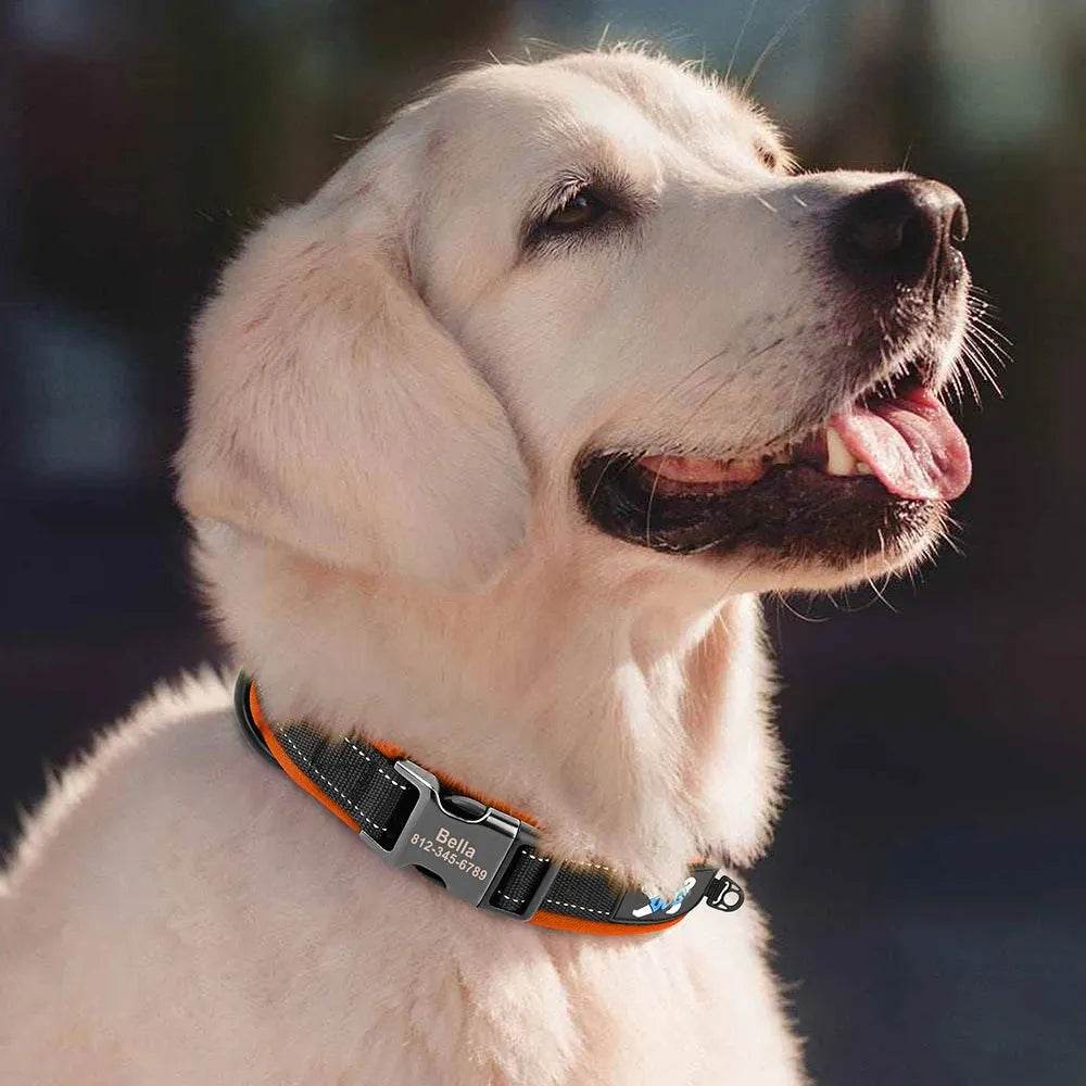 Reflective Personalized Dog Collar | Engraved ID