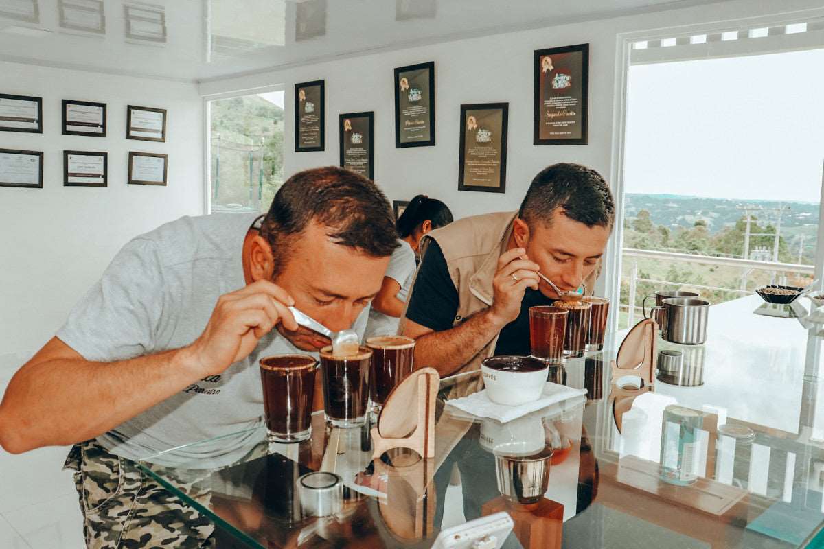 Pastel de Nata Colombia Diego Bermudez 200g Coffee Beans