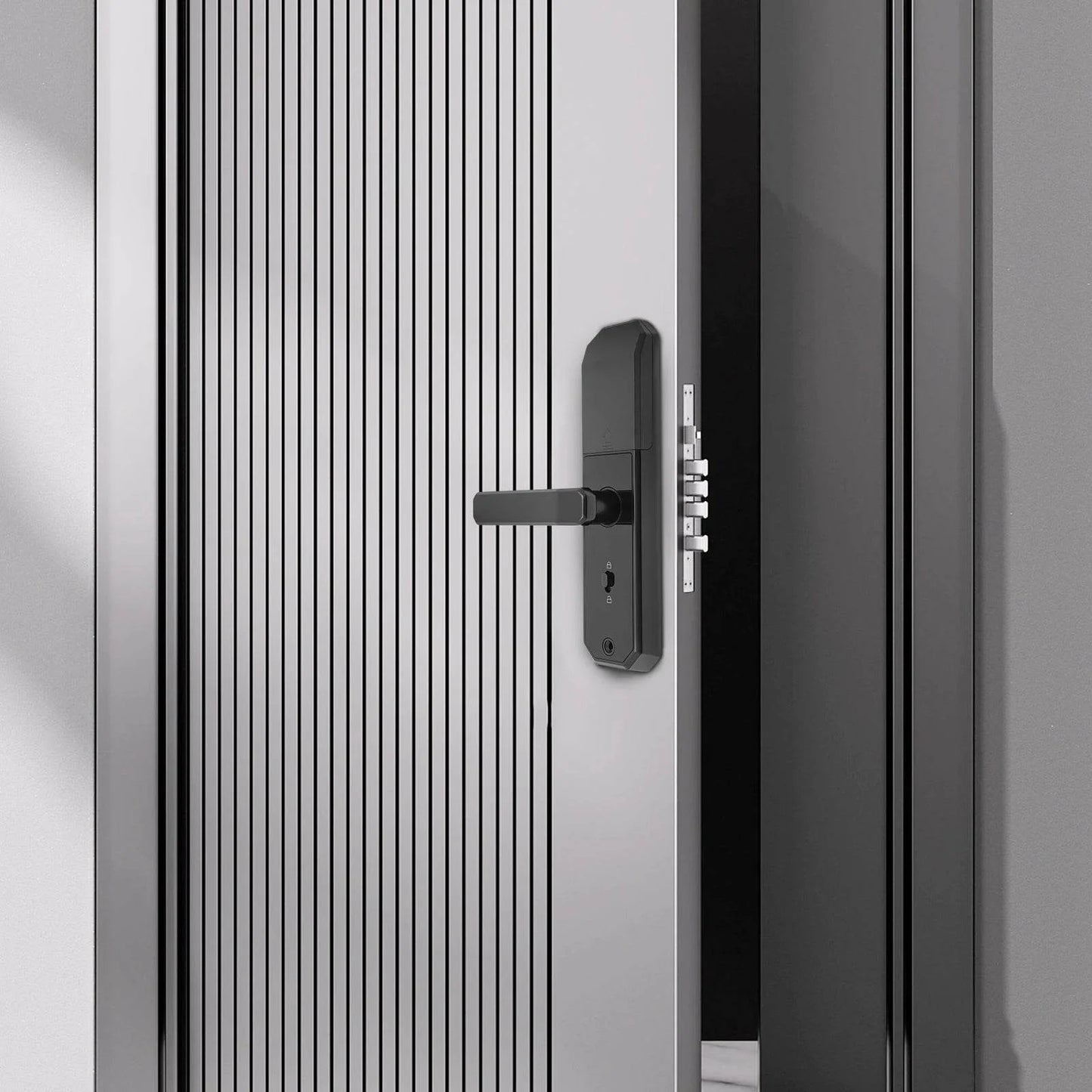 biometric fingerprint keypad lock