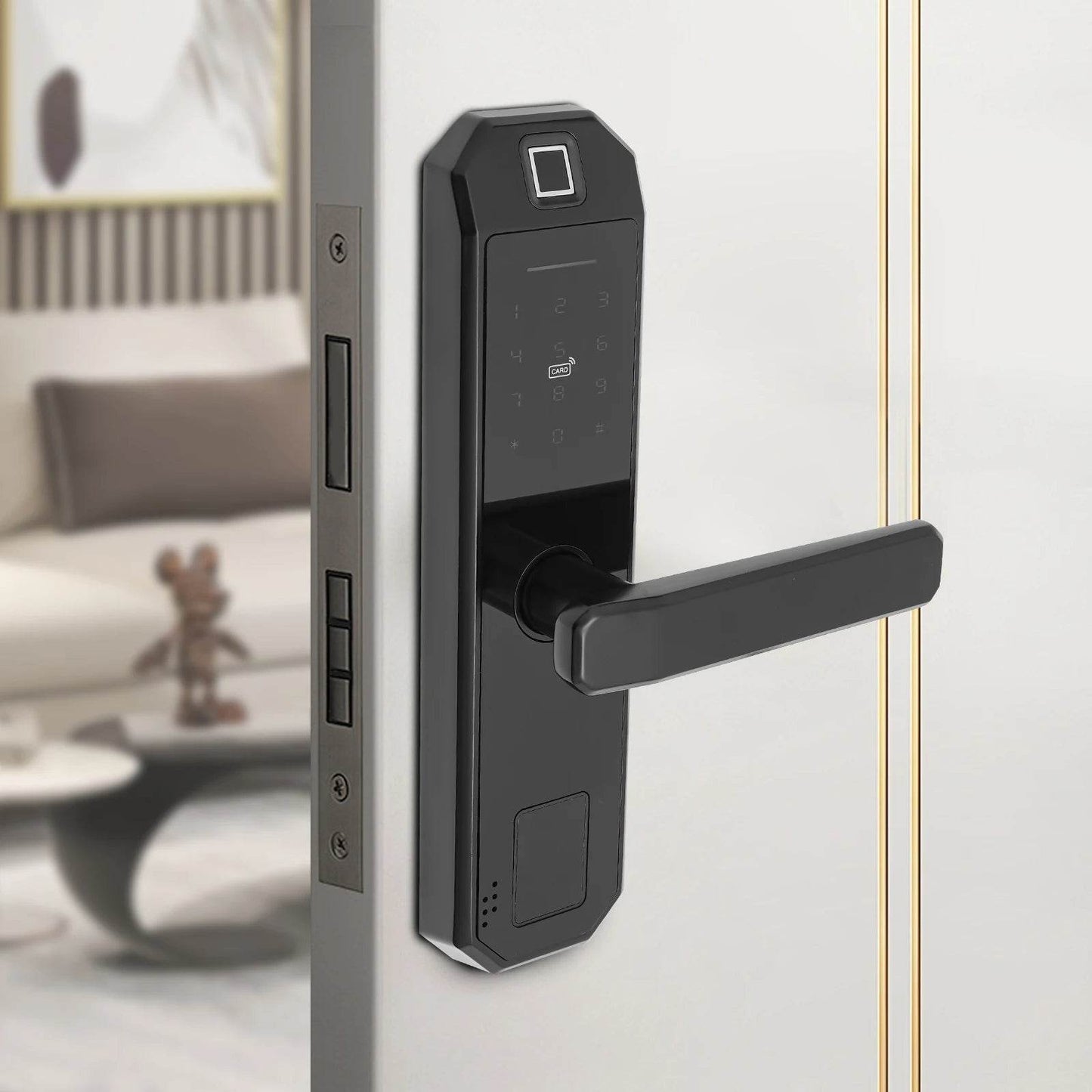 biometric fingerprint keypad lock
