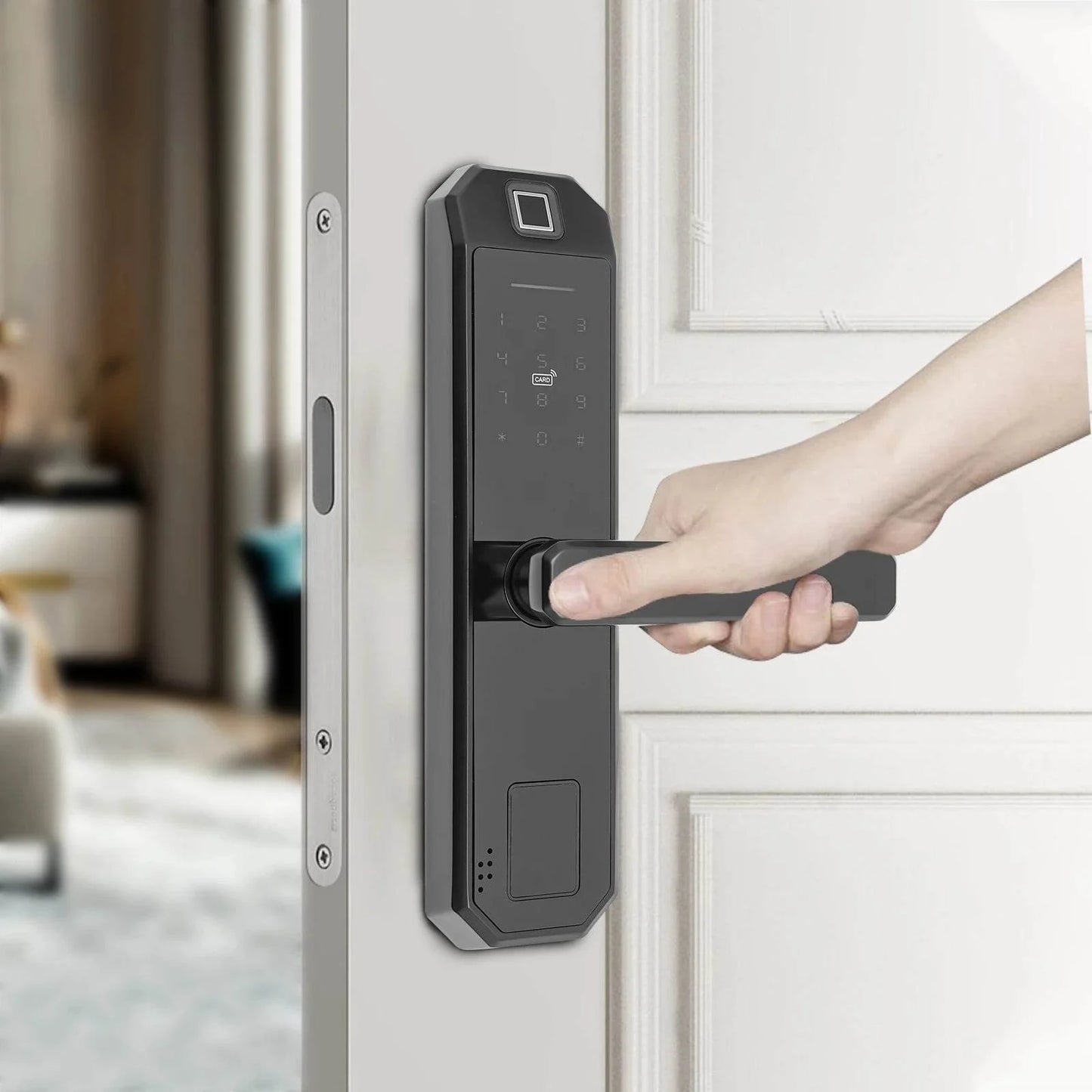 biometric fingerprint keypad lock