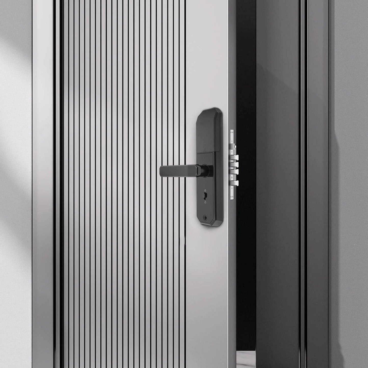 biometric fingerprint keypad lock