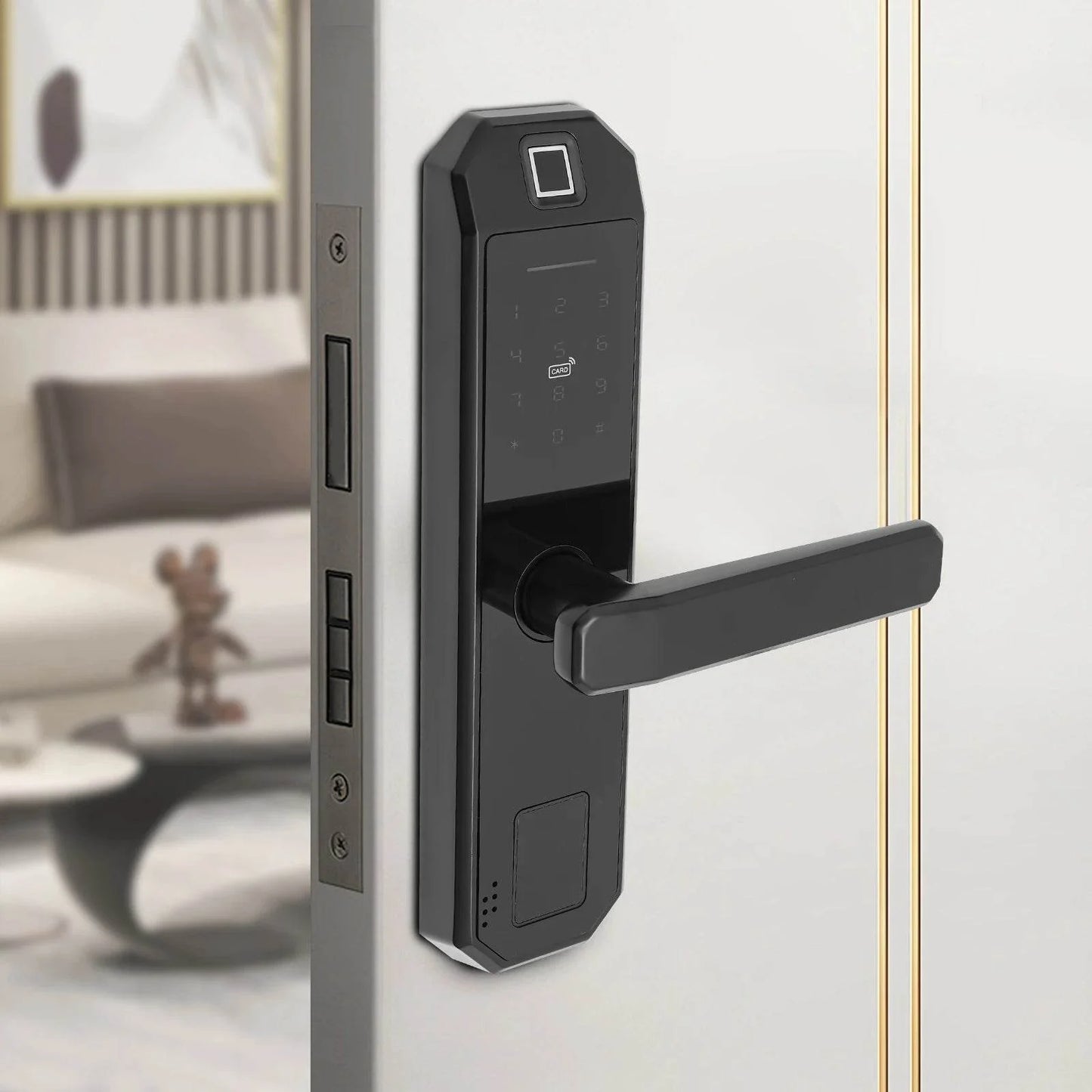 biometric fingerprint keypad lock