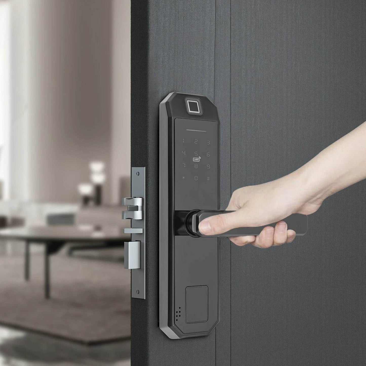 biometric fingerprint keypad lock