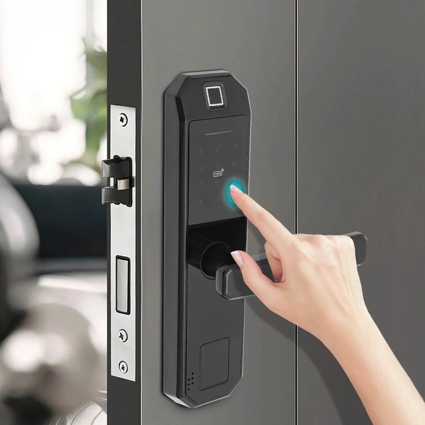 biometric fingerprint keypad lock