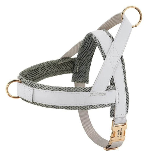 Personalized Dog Harness No Pull Dog Adjustable Pet Walking