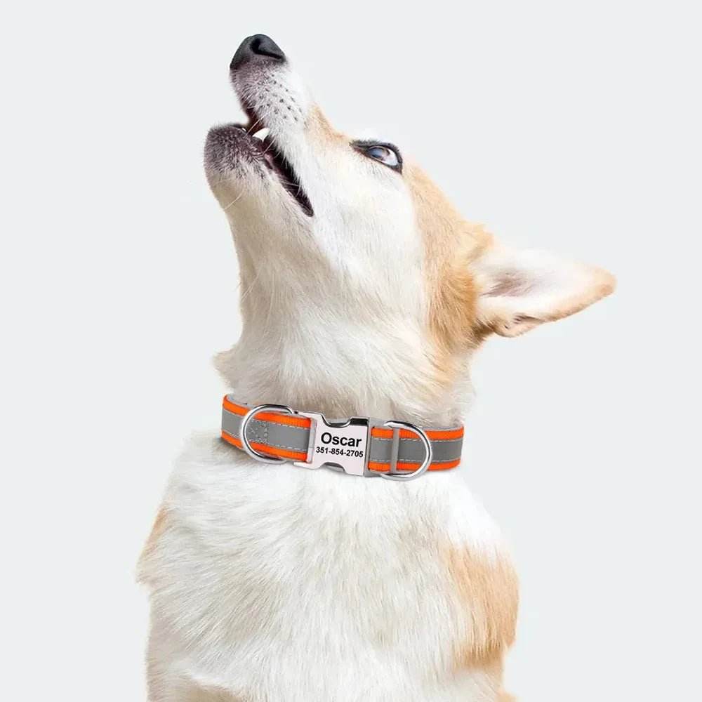 Reflective Personalized Dog Collar | Engraved ID