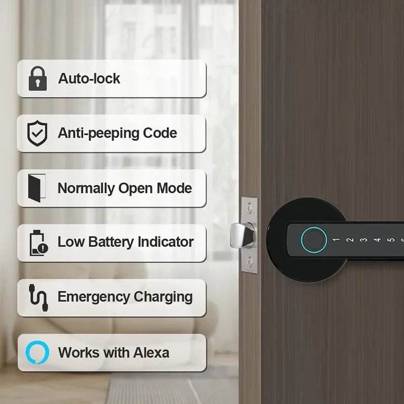 Single-lever smart fingerprint door lock with TTLOCK