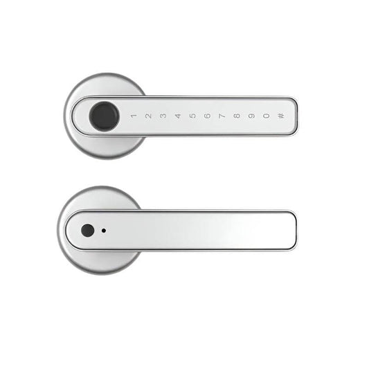 Single-lever smart fingerprint door lock with TTLOCK