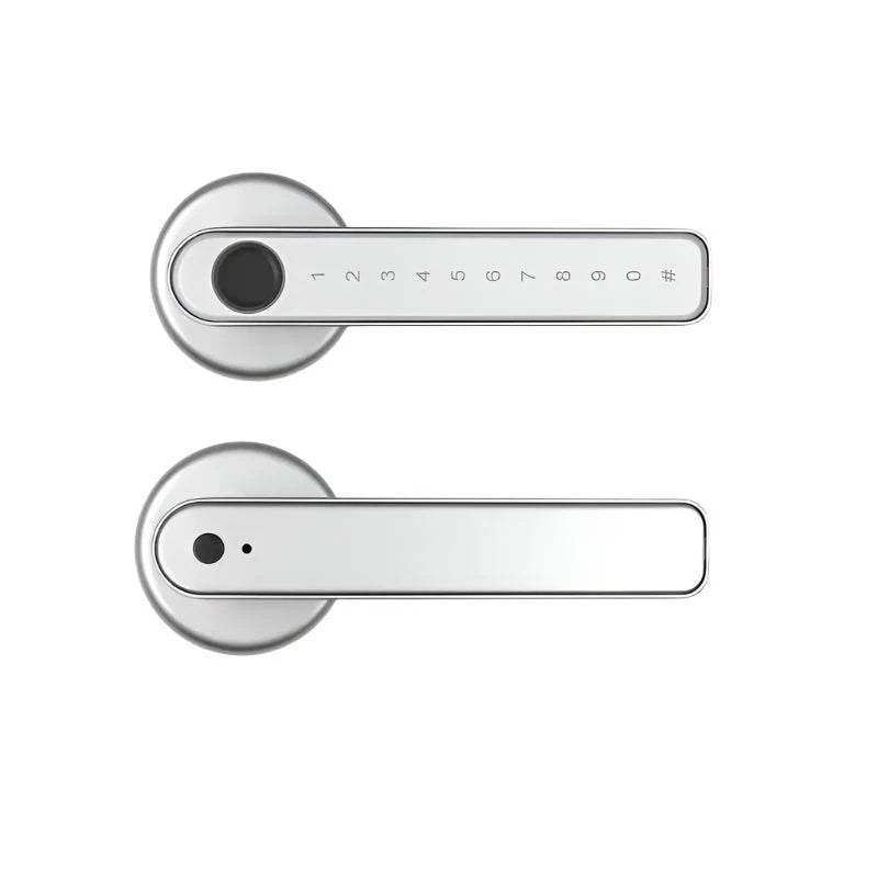 Single-lever smart fingerprint door lock with TTLOCK