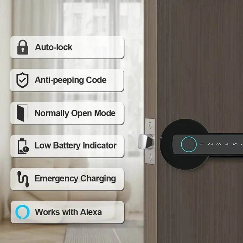 Single-lever smart fingerprint door lock with TTLOCK