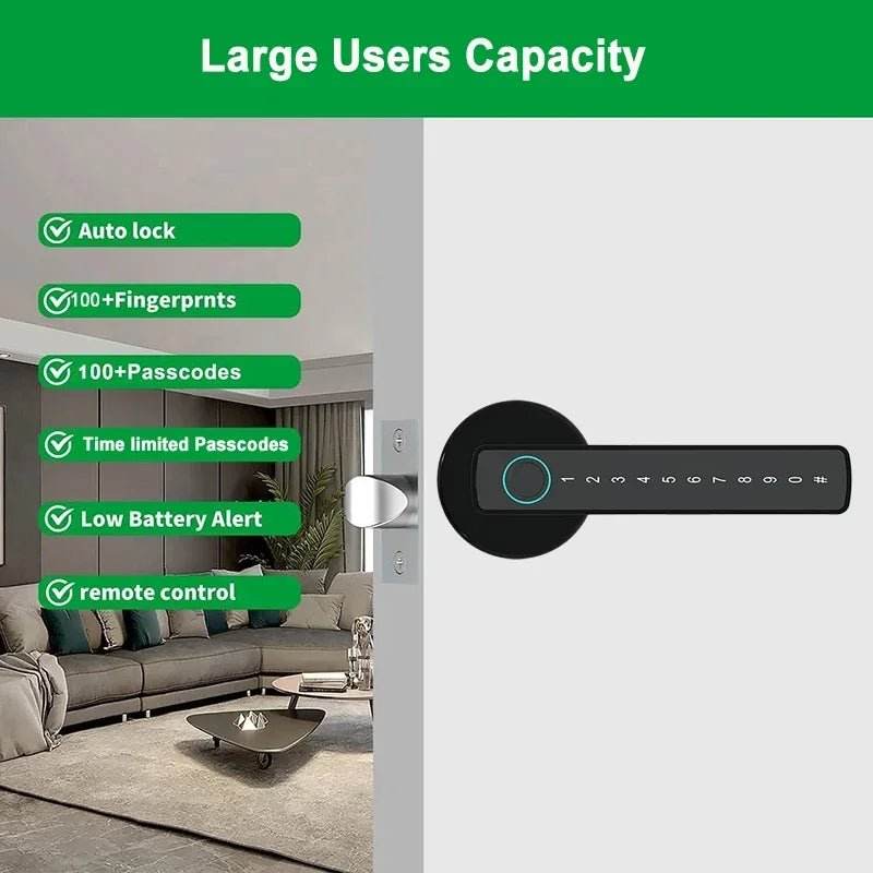 Single-lever smart fingerprint door lock with TTLOCK