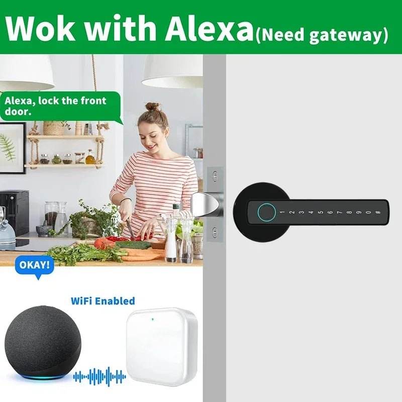 Single-lever smart fingerprint door lock with TTLOCK